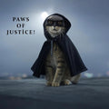 Batman Costume For Cats (Adjustable)