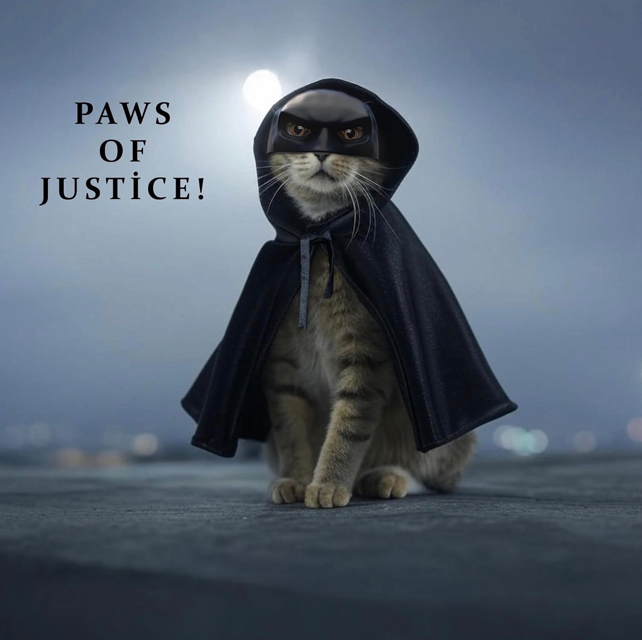 Batman Costume For Cats (Adjustable)