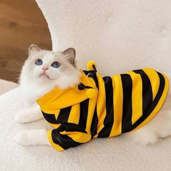 Bee Costume For Cats + Small Dogs