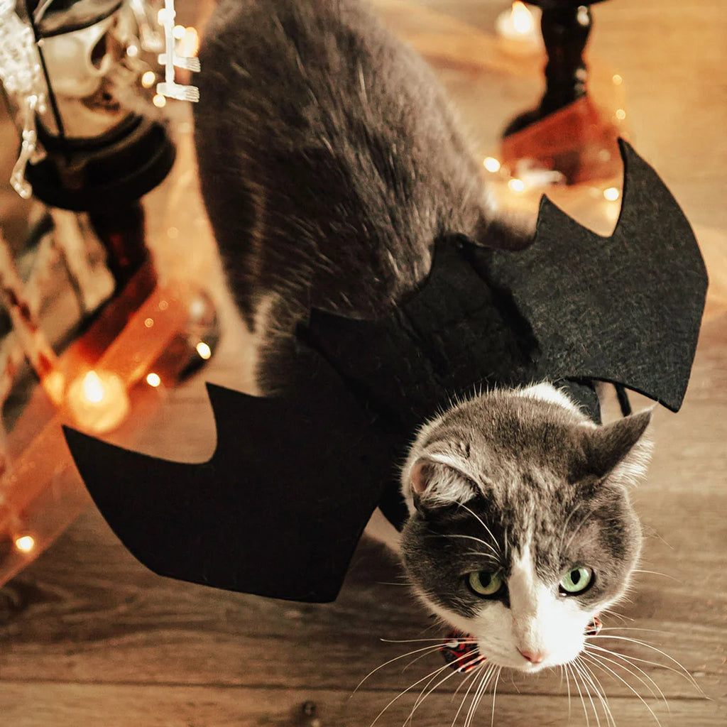 Batwing For Cat + Small Dogs