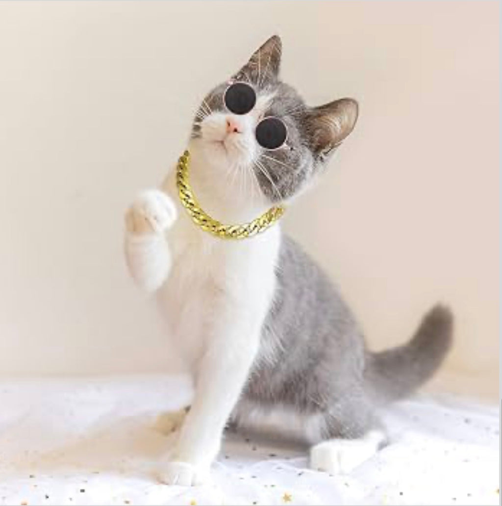 Sunglasses & Golden Chain For Cats