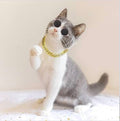 Sunglasses & Golden Chain For Cats