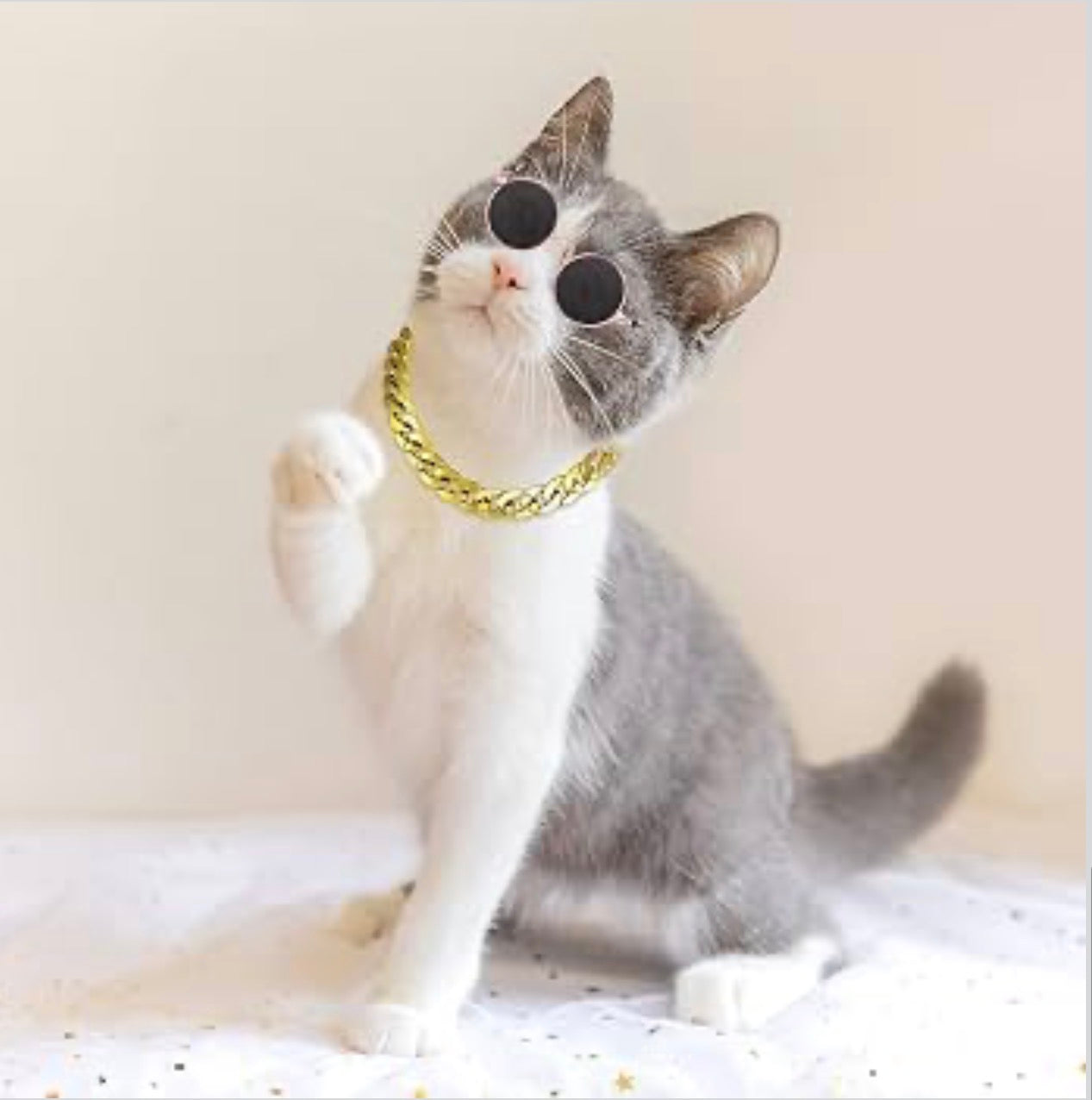 Sunglasses & Golden Chain For Cats