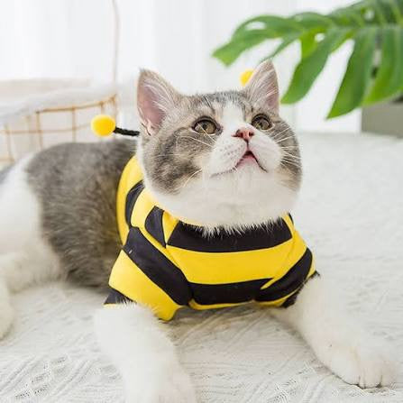 Bee Costume For Cats + Small Dogs