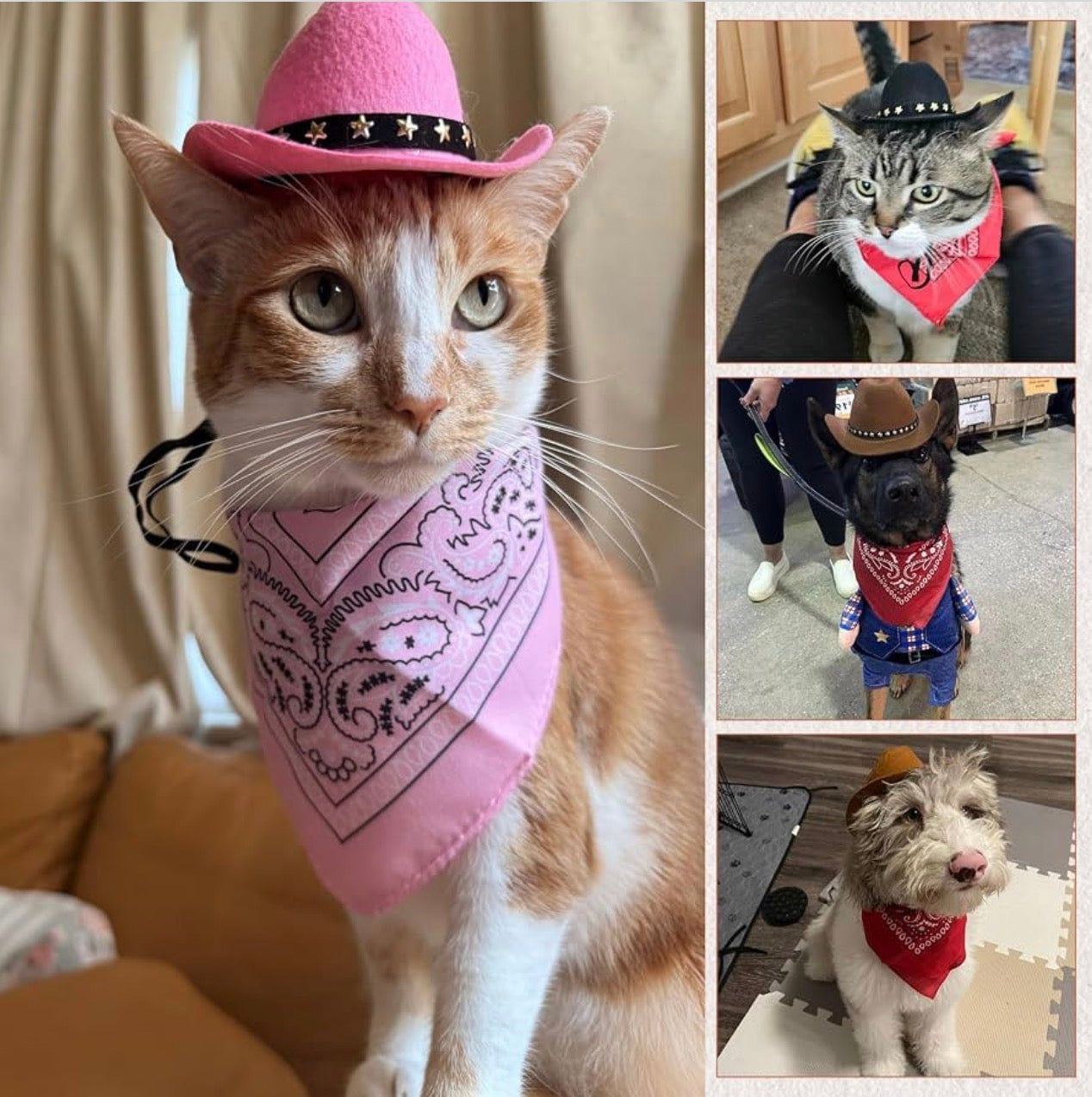 Cowboy Costume For Cats + Small Dogs